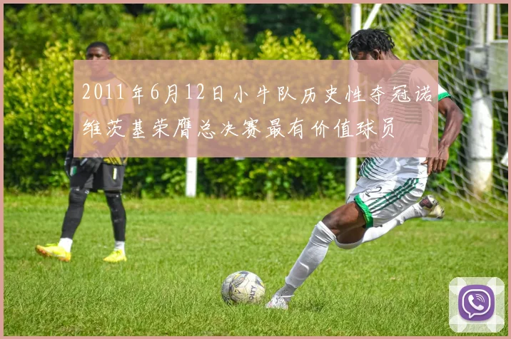 2011年6月12日小牛队历史性夺冠诺维茨基荣膺总决赛最有价值球员